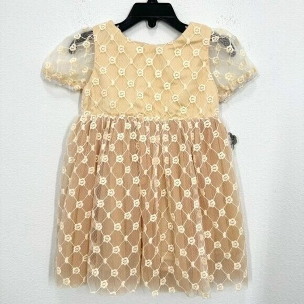 Popatu 24M Girls Embroidered Tulle Dress Ivory Cream Flower Girl Adorable NWT